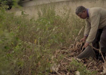 Casos confirmados de dengue saltam para 204 em 7 dias