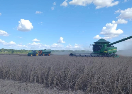 Soja: mais de 28% da área estimada já foi colhida em Mato Grosso do Sul
