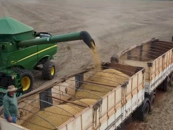 Estimativa de safra recorde se fortalece e colheita da soja segue firme pelo país