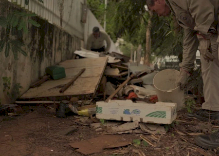 Dengue avança em MS com crescimento de casos e óbitos em 2025
