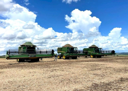 Dourados enfrenta desafios com produtividade abaixo da média e lavouras debilitadas
