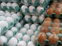 Preços dos ovos caem em março, e carne de frango volta a subir