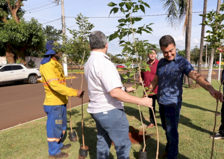 No Dia Mundial do Meio Ambiente, prefeito faz plantio de Ipês na Marcelino Pires