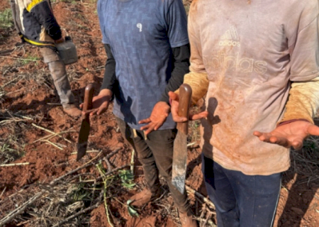 Força-tarefa resgata sete paraguaios vítimas de trabalho escravo em município de MS