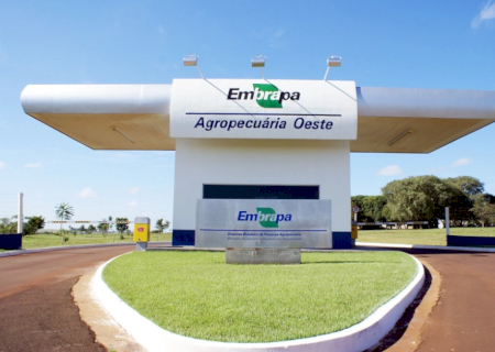 Câmara realiza sessão solene em homenagem aos 50 anos da Embrapa Agropecuária Oeste