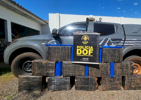 DOF apreende 266 quilos de droga em assentamento rural