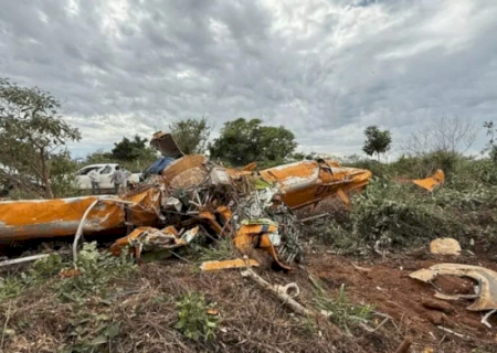 Avião bateu em árvore antes de atingir o solo, aponta relatório preliminar do Cenipa