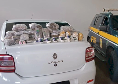 Motorista de carro é preso pela PRF com 8 quilos de drogas em MS