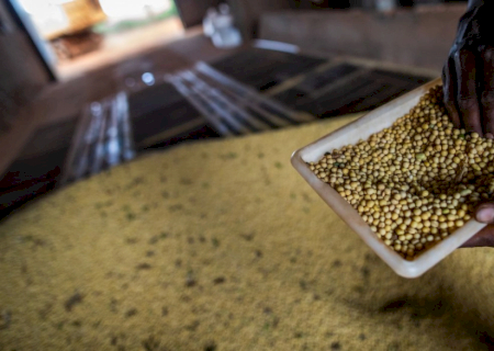 Mato Grosso do Sul fica fora do ranking que mostra maior PIB agrícola do país