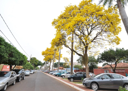 Defesa Civil alerta para calor elevado, chuvas irregulares e risco de tempestades na primavera