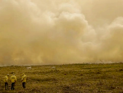 Calor já mata meio milhão de pessoas por ano, alertam cientistas