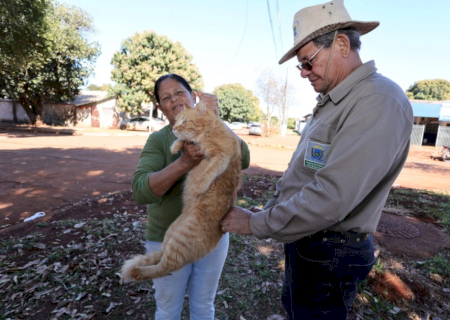 Prefeitura leva vacinação antirrábica para distritos de Dourados nesta semana