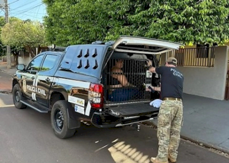 Polícia prende quadrilha ligada a golpe do falso advogado