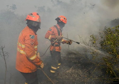 MS mobiliza Corpo de Bombeiros no combate a focos de incêndios no Pantanal
