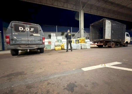 Motorista joga caminhão contra policiais, foge por mandiocal e abandona carga milionária