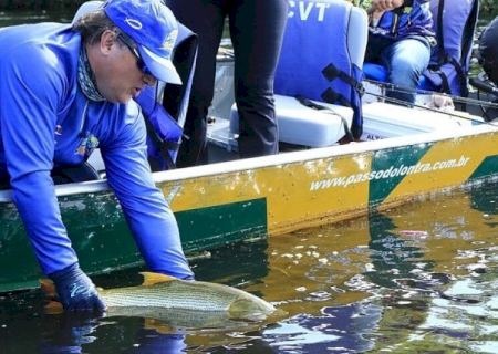 Pesque e solte está liberado nas calhas dos rios Paraguai e Paraná