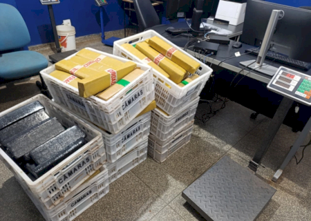 PM apreende 220 quilos de maconha e recupera veículo roubado