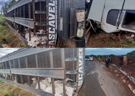 Motorista tomba carreta boiadeira e morre esmagado na cabine em Três Lagoas