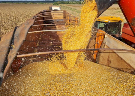 Exportação de DDG à China pode impactar mercado interno de MS; entenda