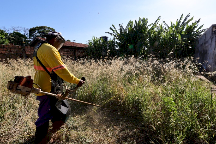 Prefeitura inicia limpeza de terrenos baldios após descumprimento de notificações