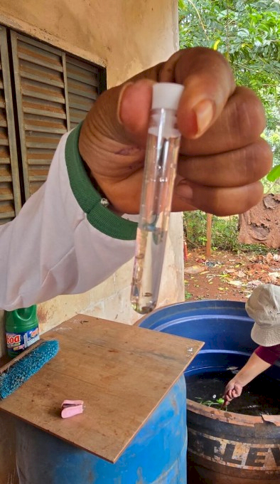 Prefeitura inicia força-tarefa contra chikungunya na Reserva Indígena e confirma epidemia