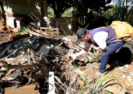 Chikungunya está presente em 37 dos 79 municípios de Mato Grosso do Sul