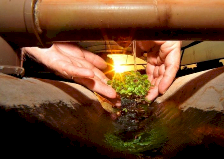 Produtores do MS utilizam técnicas sustentáveis para preservar a água das propriedades