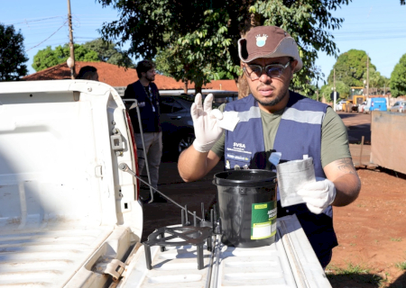 Força-tarefa amplia combate à chikungunya com armadilhas e mutirão em bairros críticos