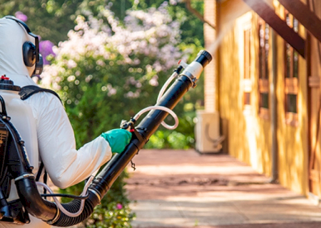 MS equipa municípios com bombas costais contra o Aedes Aegypti