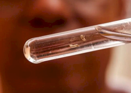 Fátima do Sul ultrapassa Dourados em confirmações de chikungunya