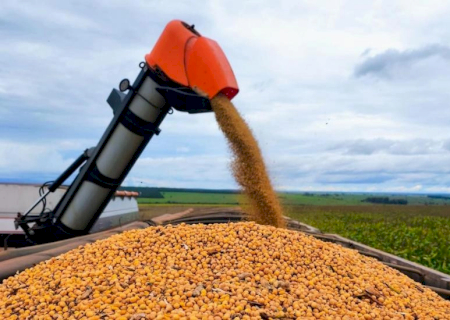 Colheita da soja alcança 82% da área e plantio do milho chega a 84,6% em MS
