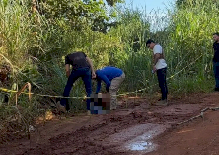 Corpo de mulher é encontrado às margens de estrada com perfuração na testa