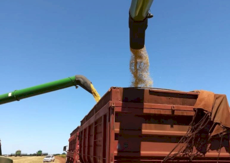 Colheita da soja alcança 97,1% da área em Mato Grosso do Sul