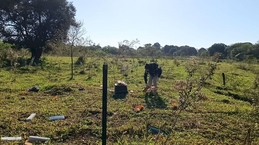 Motorista tenta fuga e capota caminhonete carregada com maconha na Via Parque