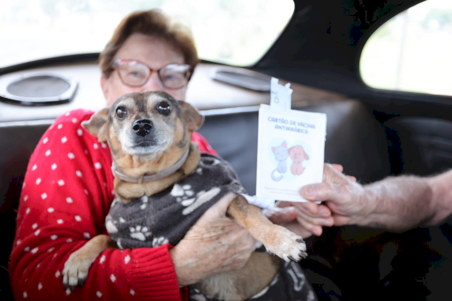 Prefeitura imuniza mais de 1,5 mil animais em drive-thru de vacinação antirrábica