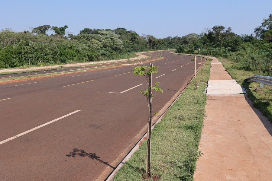No Dia da Árvore, prefeito planta muda na Avenida dos Ipês, que também recebe espécies frutíferas