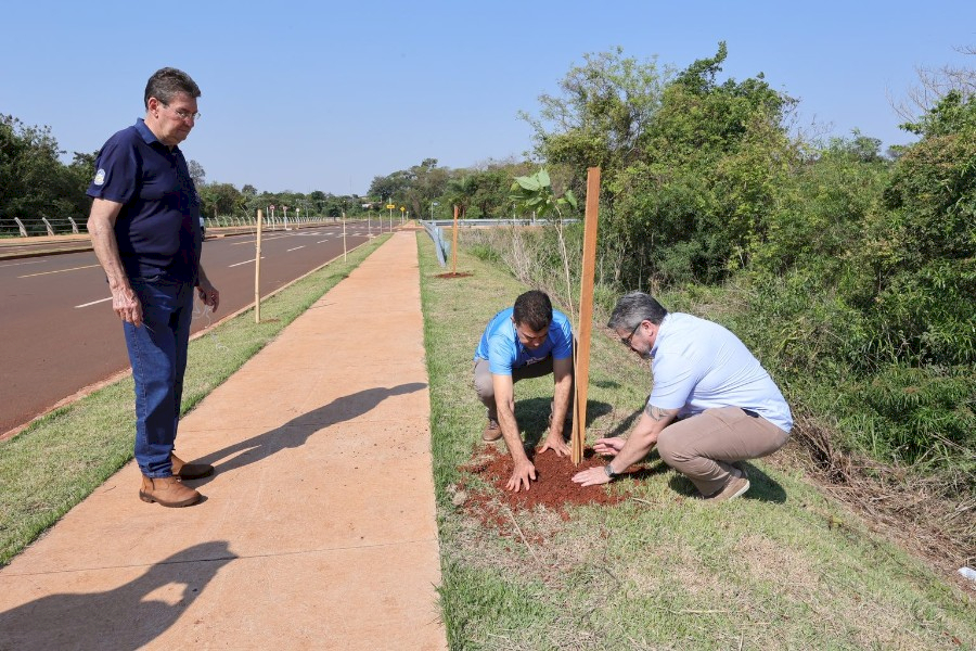 No Dia da Árvore, prefeito planta muda na Avenida dos Ipês, que também recebe espécies frutíferas