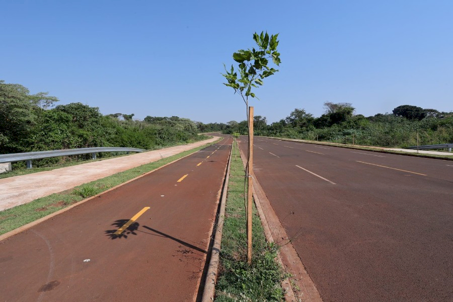 No Dia da Árvore, prefeito planta muda na Avenida dos Ipês, que também recebe espécies frutíferas