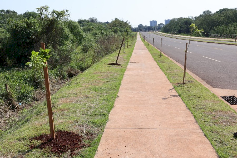 No Dia da Árvore, prefeito planta muda na Avenida dos Ipês, que também recebe espécies frutíferas