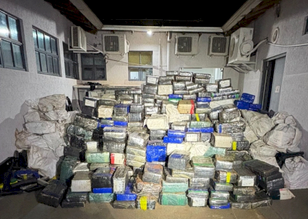 Polícias Federal, Rodoviária e Militar apreendem 7,1 toneladas de maconha em área rural